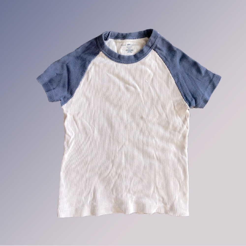 Brandy Melville baby tee